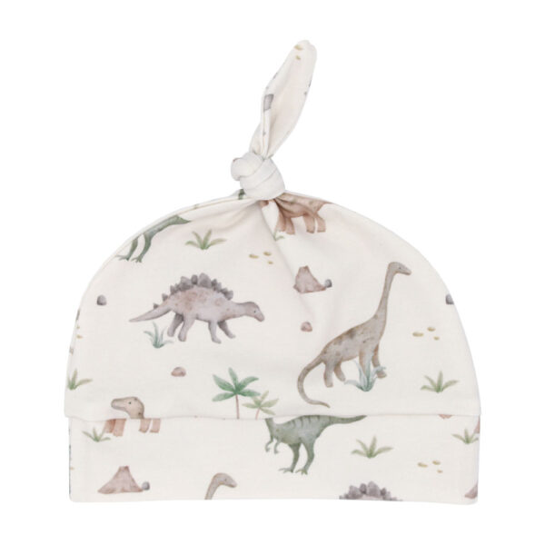 Babymutjes met dinosaurussen